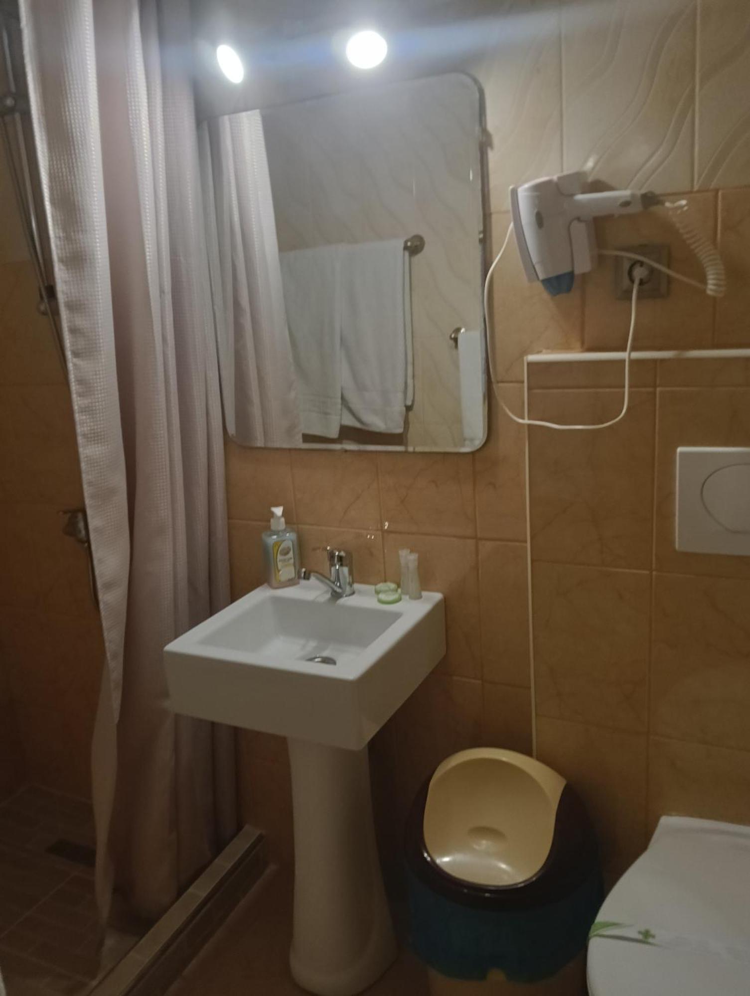 Hotel Casa Heidi Timisoara Camera foto